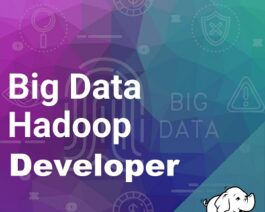 Big Data Hadoop & Developer