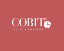 Cobit 5 Course picture