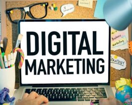 Digital Marketing Professionals Premium Package