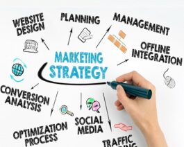 Marketing Strategy Expert Premium Package