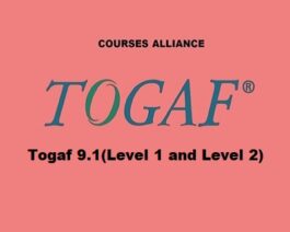 Togaf 9.1(Level 1 and Level 2)